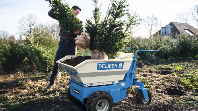 Delmer Mini Dumper