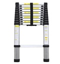 Telescopische Ladder uitschuifbaar 320 cm