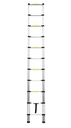 Telescopische Ladder uitschuifbaar 320 cm