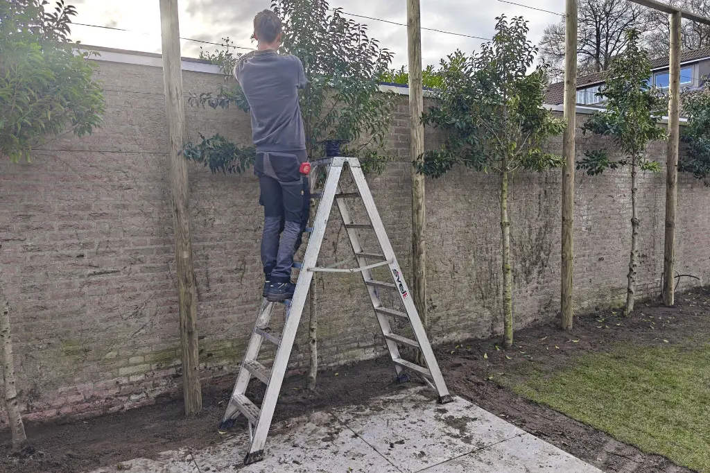 Svelt P1_actieshot_02.webp