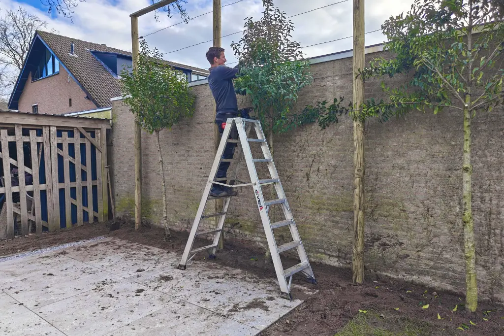 Svelt P1_actieshot_01.webp